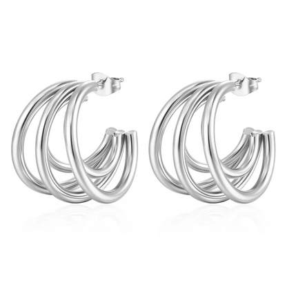 Moonlit Silver Elegance Earrings image 0